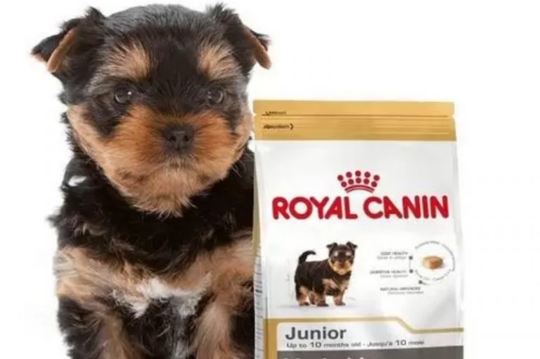 Royal Canin faz ativações com foco nos filhotes