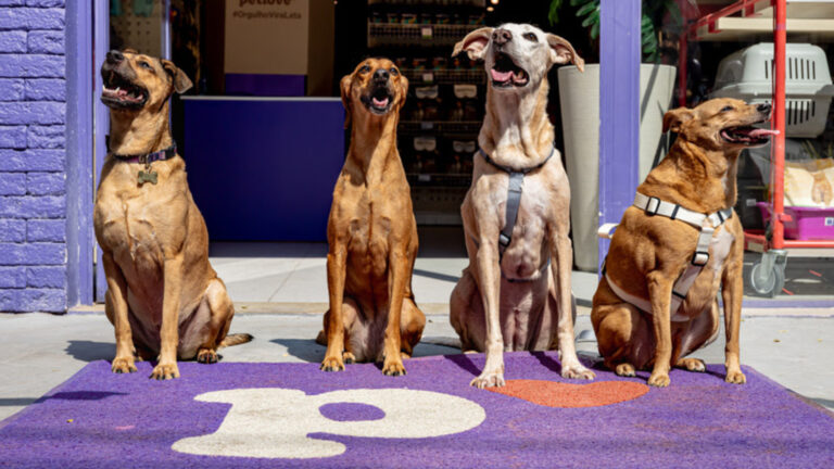 Petlove lança movimento de orgulho e valorização dos vira-latas caramelo com diversas ações