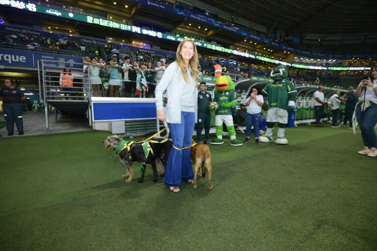 Palmeiras e Mars incentivam adoção de animais em ação no Allianz Parque