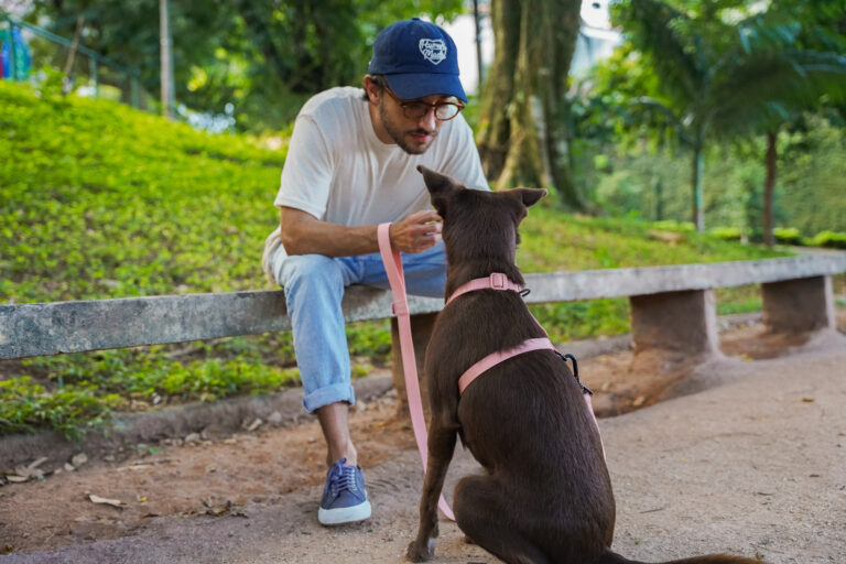 Petz é a correalizadora do 1º Festival Pet no Parque Ibirapuera