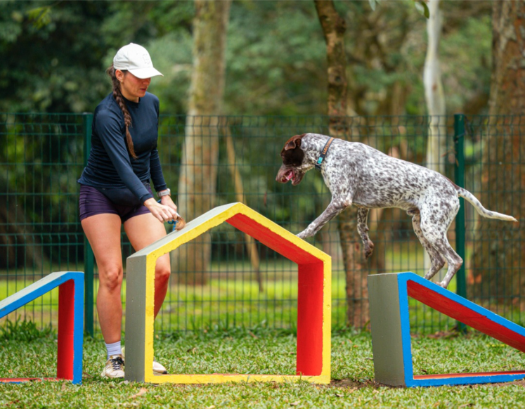 1º Festival Pet do Parque Ibirapuera libera ingressos gratuitos e revela atrações