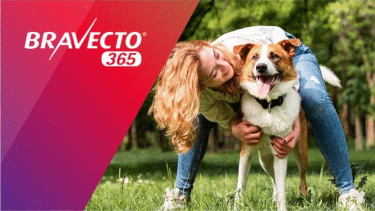 MSD Saúde Animal faz evento pet friendly com experiências interativas na Roda Rico MSD Saúde Animal faz evento pet friendly com experiências interativas na Roda Rico