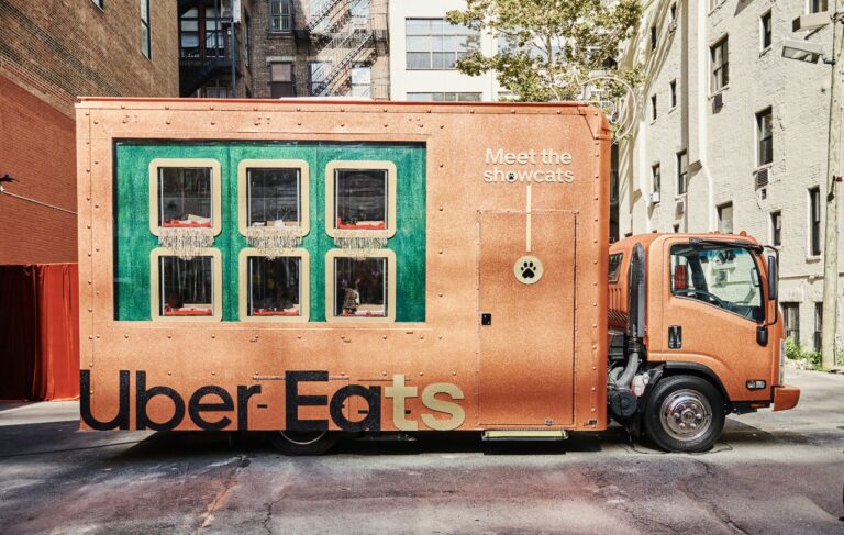 Uber Eats lança pop-ups “Uber Showcats” com adoção de gatos nos EUA
