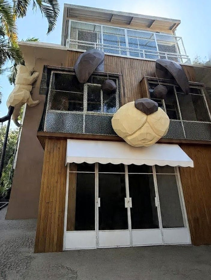 Instituto Ampara Animal inaugura CasAdote em SP com apoio de marcas