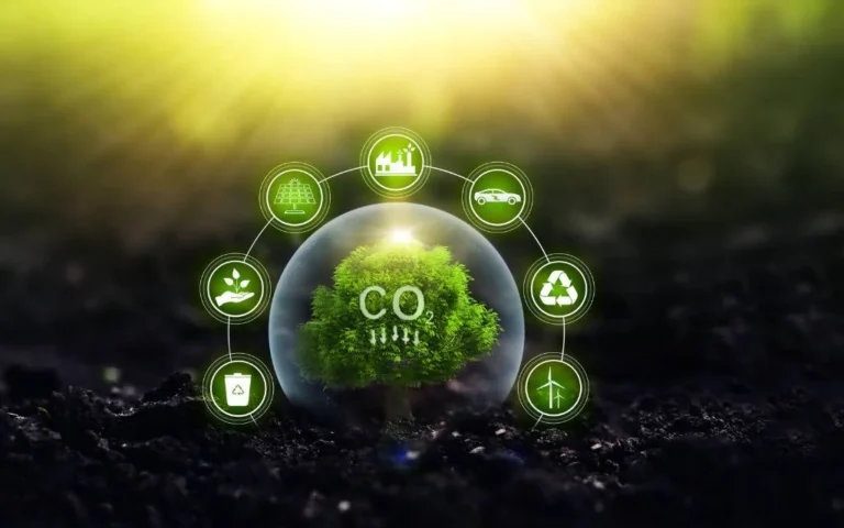 Red Door adota tokenização verde e inaugura novo modelo sustentável