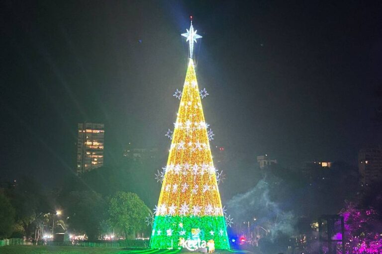 Maior árvore de Natal de São Paulo é inaugurada no Parque Ibirapuera