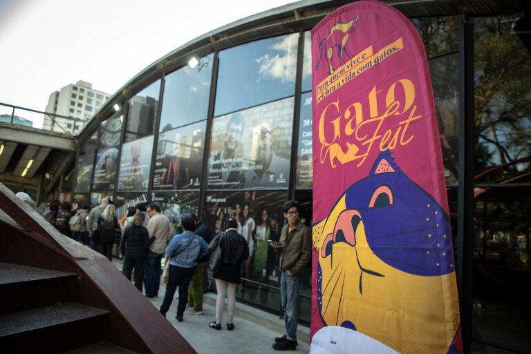 GoldeN GatoFest volta a SP com patrocínio da GoldeN e novidades