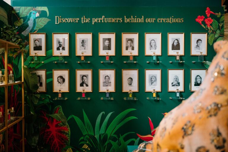 Links follow e nofollow: entenda como funcionam e por que impactam o SEO dos sites