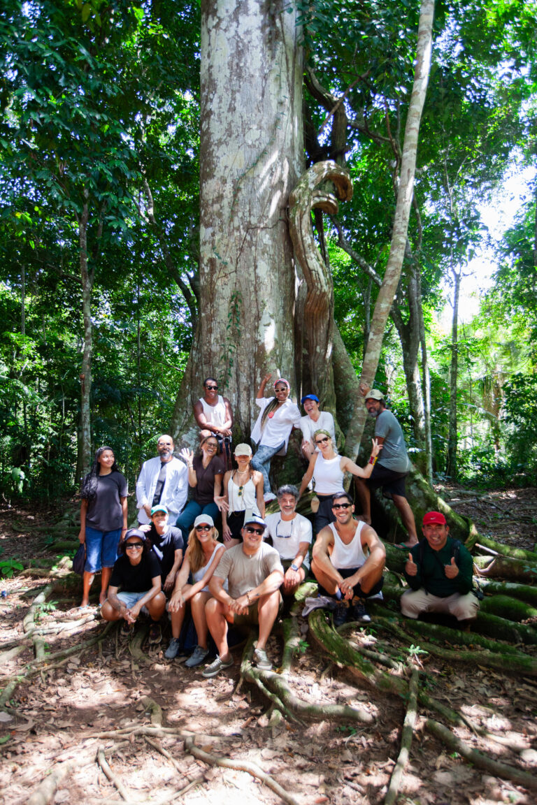 The Summer Hunter expande braço de “experiências solares”