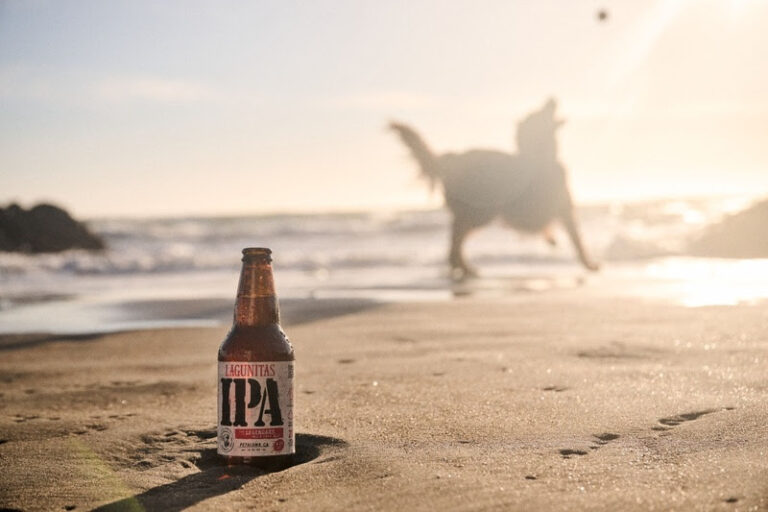 Lagunitas promove evento Dogs & Drinks em SP