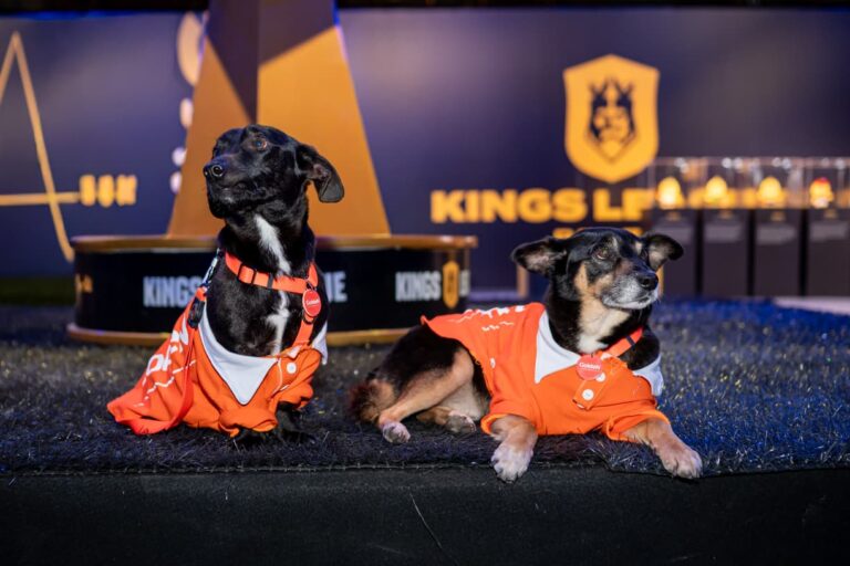 GoldeN faz edição especial dos CãoDulas na final da Kings League