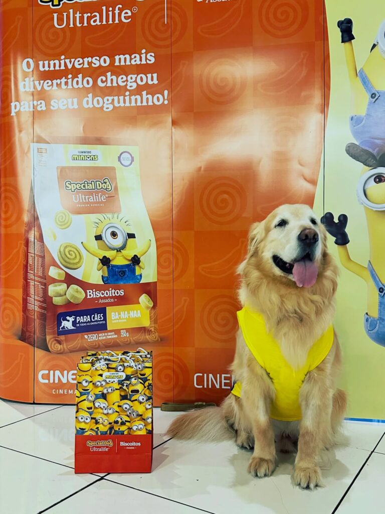 Special Dog Company faz sessão de cinema pet friendly para lançamento de Minions & Monstros