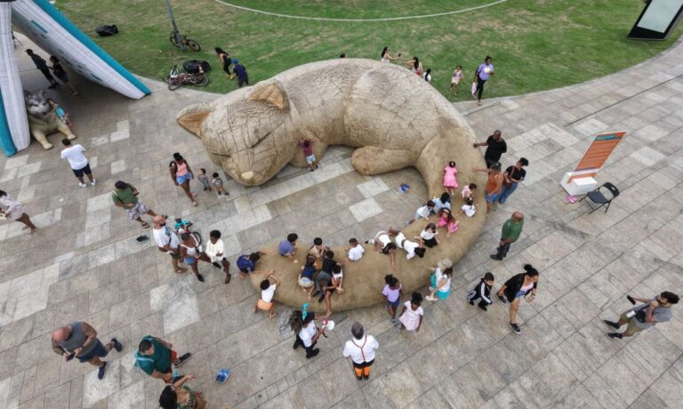 Cobasi leva ativações ao GoldeN GatoFest e lança campanha para o Dia do Gato