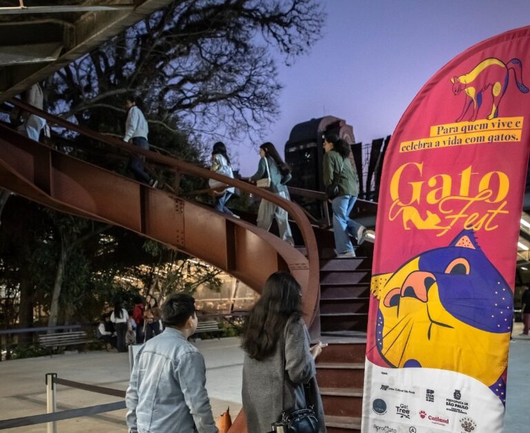GoldeN GatoFest revela programação completa de segunda edição em SP