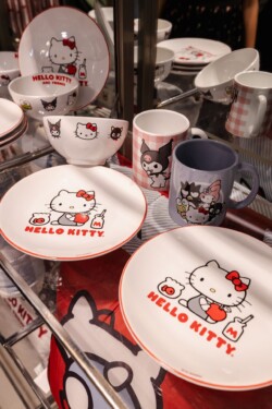A Riachuelo, em parceria com a Sanrio do Brasil, realizou um evento no dia 18 de agosto, em celebração aos 50 anos da Hello Kitty, quando a magia da personagem tomou conta da loja na Avenida Paulista, em São Paulo. Em uma celebração grandiosa, a varejista reuniu fãs de todas as idades para comemorar o aniversário da icônica personagem.