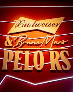 A Budweiser, em um evento que uniu música, solidariedade e experiências únicas, promoveu em São Paulo o primeiro show de Bruno Mars no Brasil. O espetáculo, realizado no Tokio Marine Hall, em 1º de outubro, proporcionou aos fãs uma noite inesquecível e ainda contribuiu para uma causa nobre.