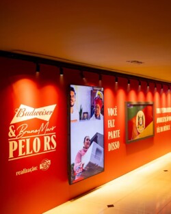 A Budweiser, em um evento que uniu música, solidariedade e experiências únicas, promoveu em São Paulo o primeiro show de Bruno Mars no Brasil. O espetáculo, realizado no Tokio Marine Hall, em 1º de outubro, proporcionou aos fãs uma noite inesquecível e ainda contribuiu para uma causa nobre.