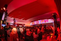 O YouTube Brandcast 2024, realizado no icônico Auditório Ibirapuera, em São Paulo, no dia 9 de outubro, consolidou-se como um dos maiores eventos do ano, celebrando a rica e diversa cultura brasileira. A edição deste ano apresentou um espetáculo audiovisual que transportou o público para dentro do universo do YouTube, com performances marcantes e a participação de grandes nomes do entretenimento nacional.